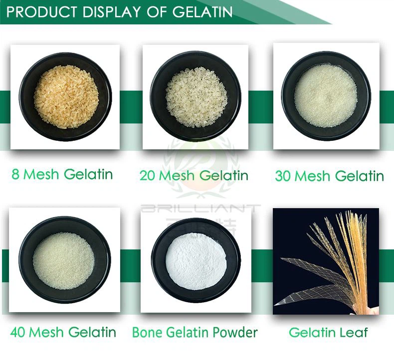 Gelatin Gelatine Powder