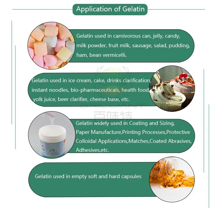 Gelatin Gelatine Powder